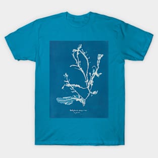 Vintage Seaweed Photography Collection 8 of 12 T-Shirt